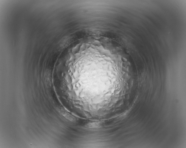 X0000077990178200611101738