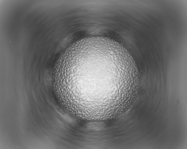 X0000077990179200611101738