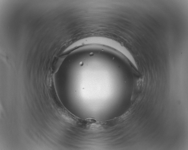 X0000077990180200611101738