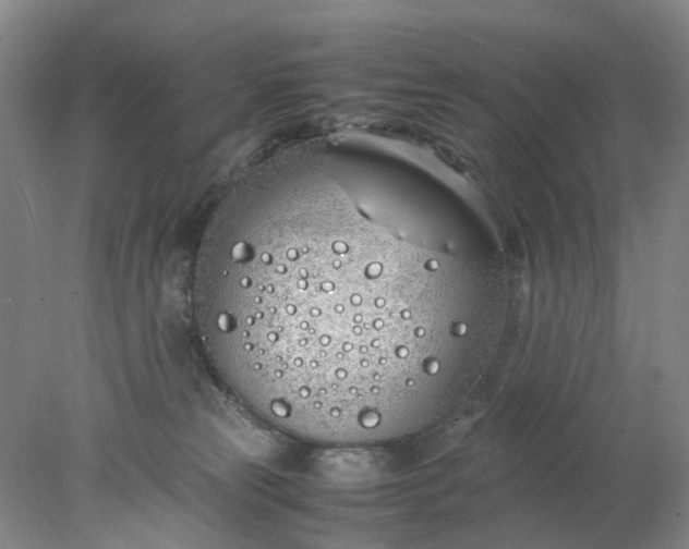 X0000077990181200611101738