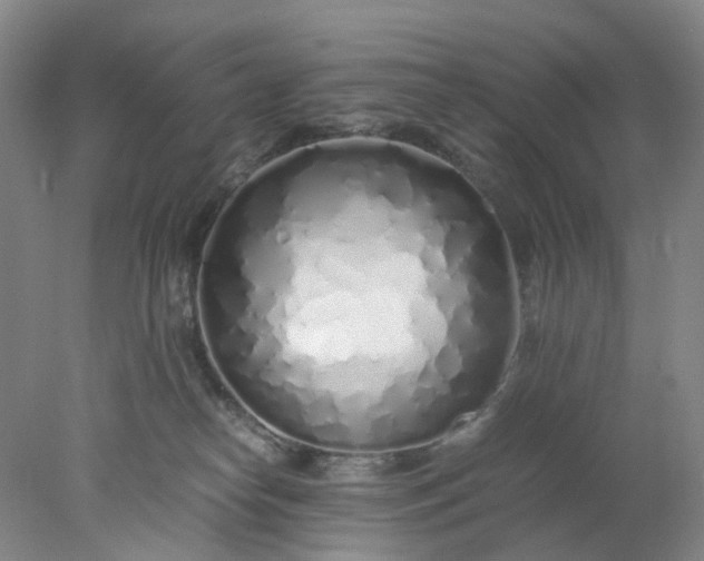 X0000077990182200611101738