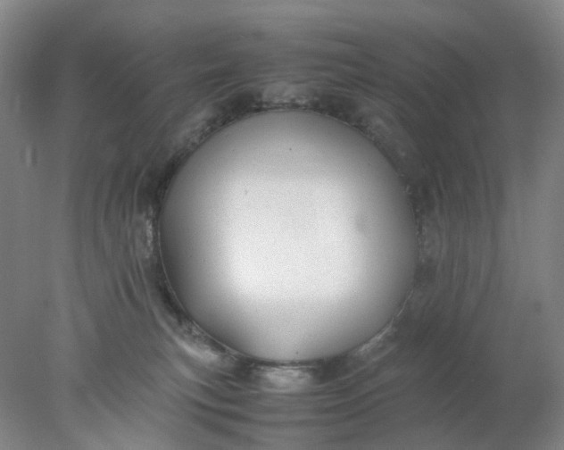 X0000077990183200611101738