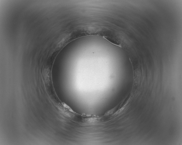 X0000077990184200611101738