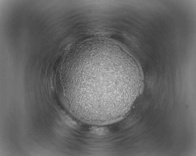 X0000077990185200611101738