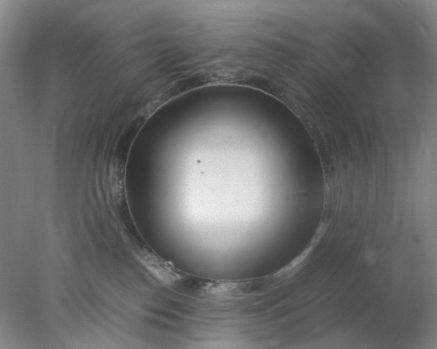 X0000077990186200611101738