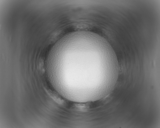 X0000077990187200611101738