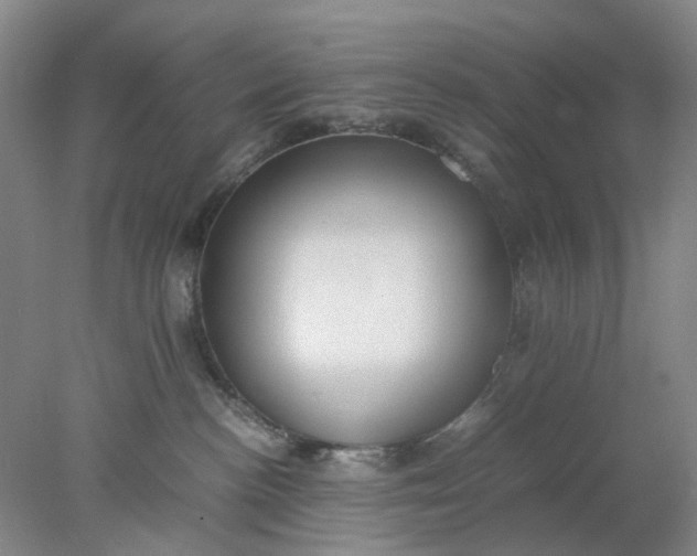 X0000077990188200611101738