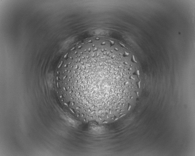 X0000077990189200611101738