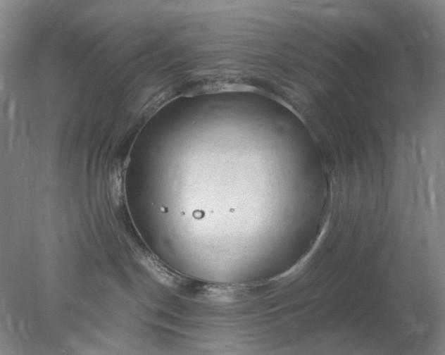 X0000077990190200611101738