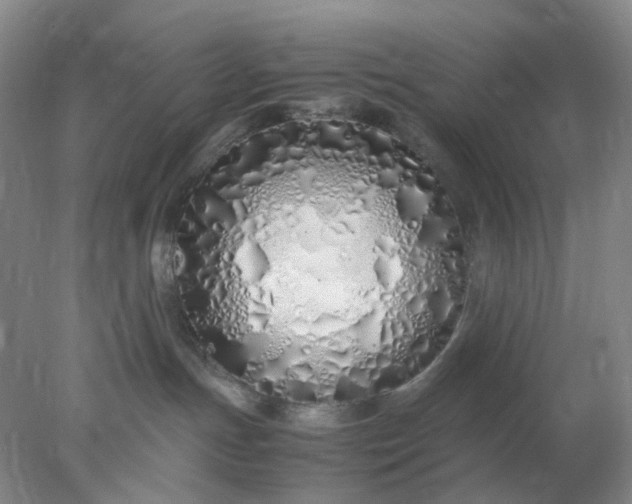 X0000077990191200611101738