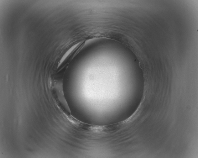 X0000077990192200611101738