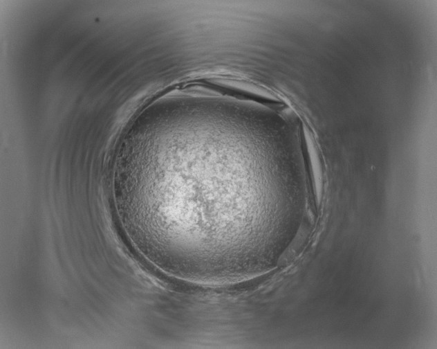 X0000077990193200611101737