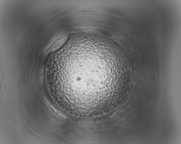 X0000077990194200611101737