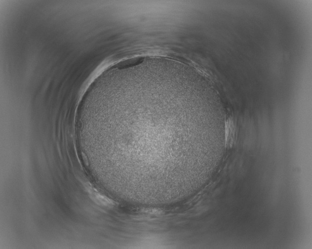 X0000077990195200611101737