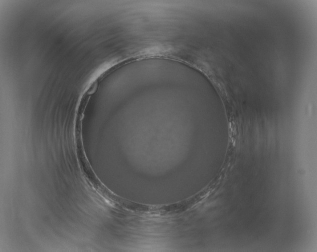 X0000077990196200611101737