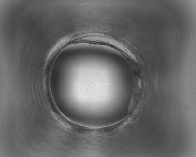 X0000077990197200611101737