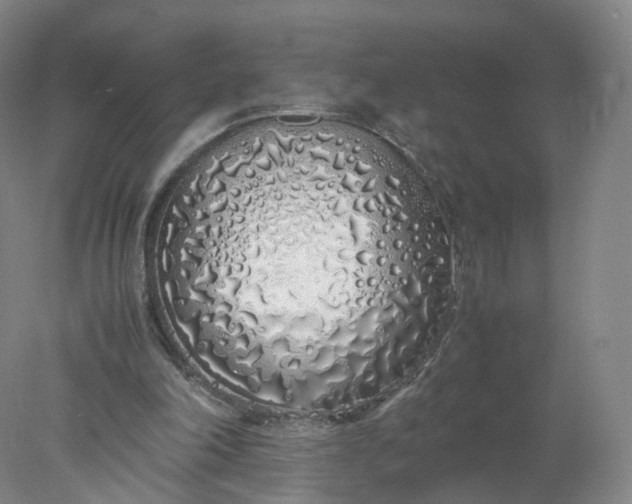 X0000077990198200611101737