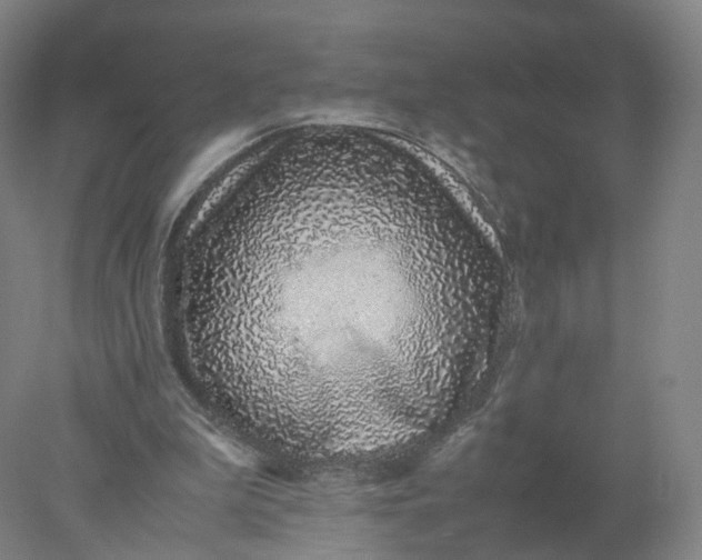 X0000077990199200611101737