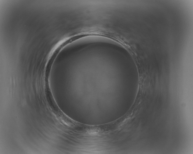 X0000077990200200611101737