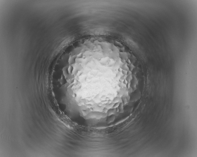 X0000077990202200611101737