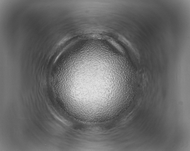 X0000077990203200611101737