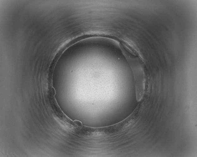 X0000077990204200611101737