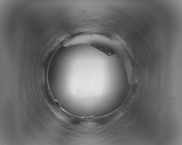 X0000077990205200611101737