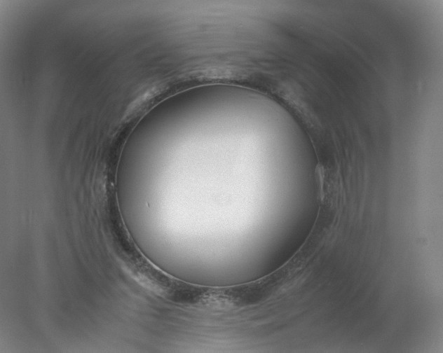 X0000077990207200611101737