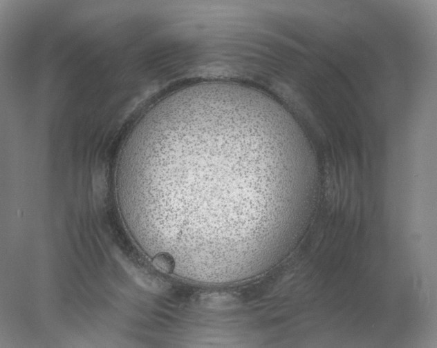 X0000077990208200611101737