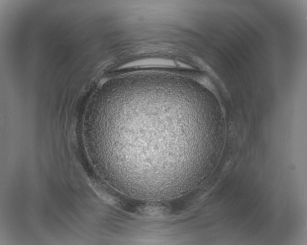 X0000077990209200611101737