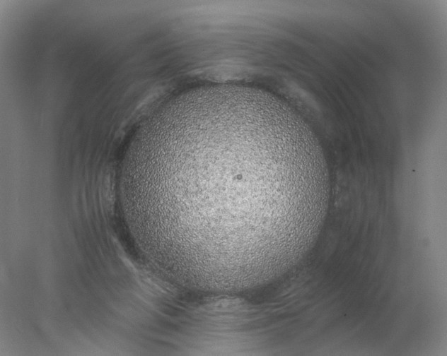 X0000077990210200611101737