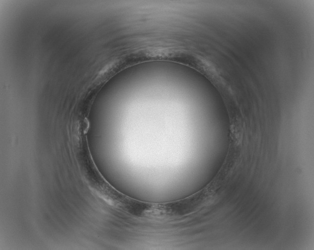 X0000077990211200611101737