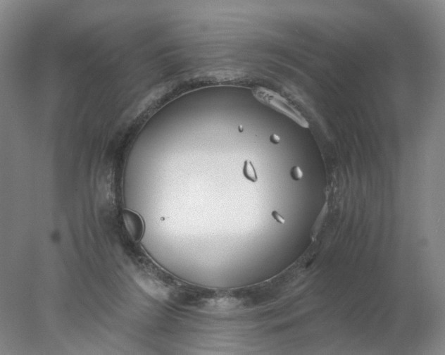 X0000077990212200611101737