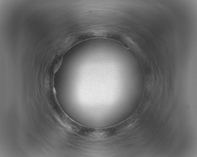 X0000077990213200611101737