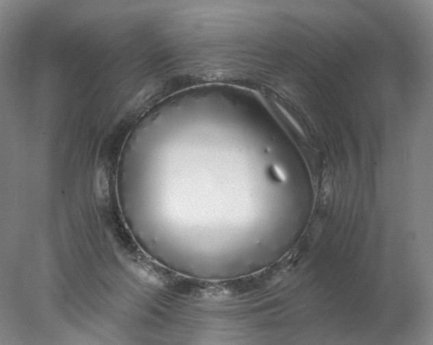 X0000077990214200611101737