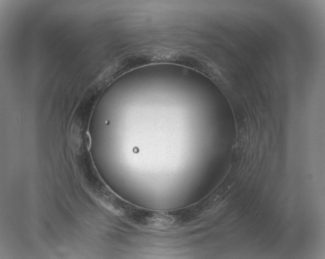 X0000077990215200611101737