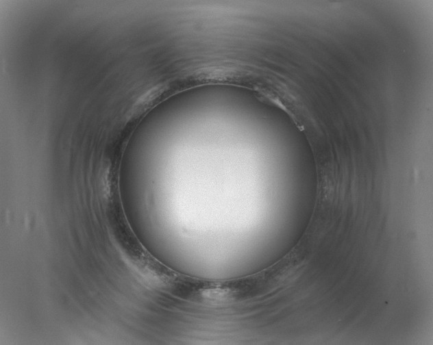 X0000077990216200611101737