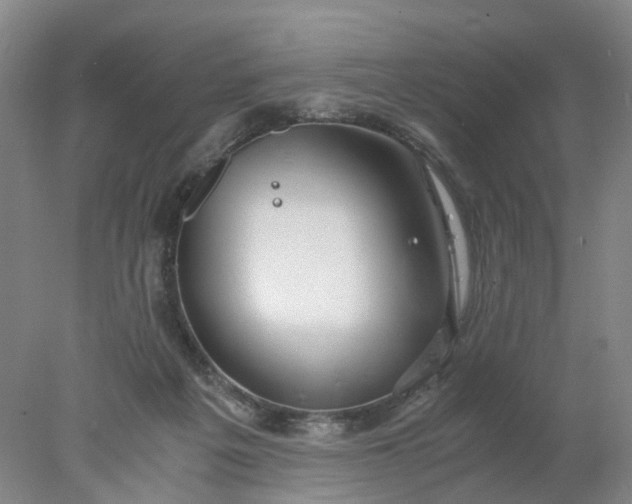 X0000077990217200611101737