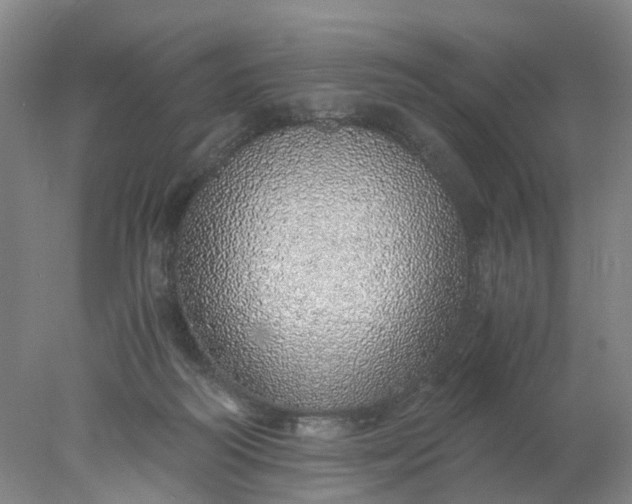 X0000077990218200611101737