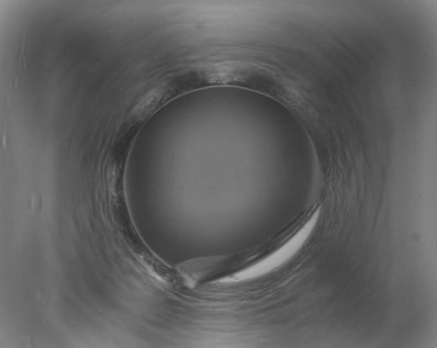 X0000077990219200611101737