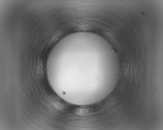 X0000077990220200611101737