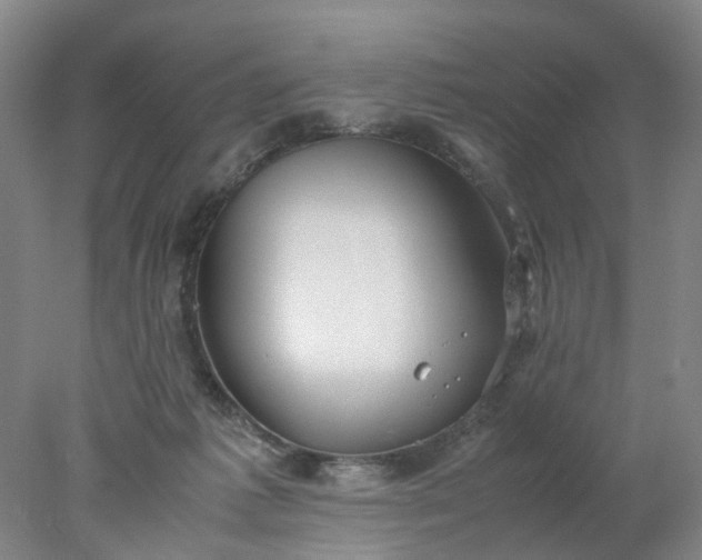 X0000077990221200611101736