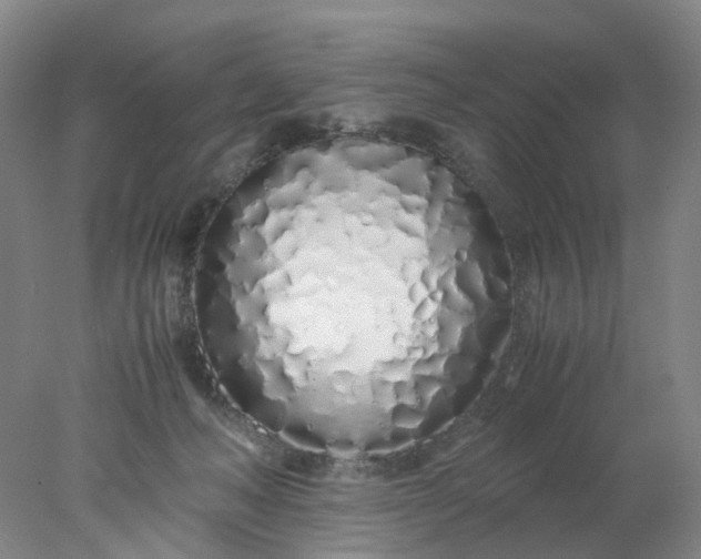 X0000077990222200611101736