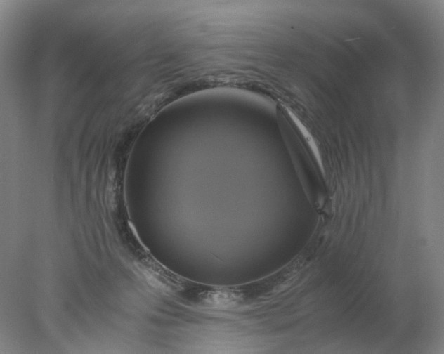 X0000077990223200611101736