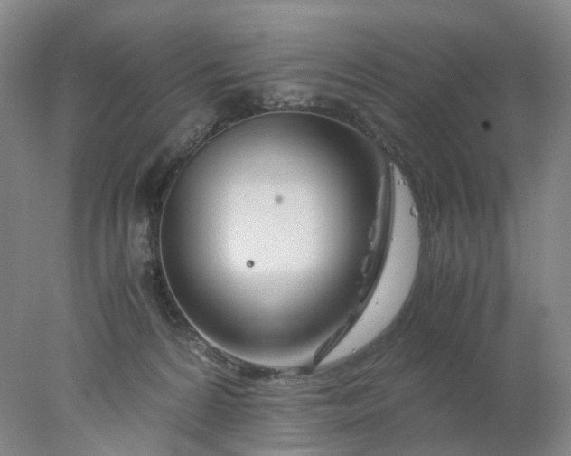 X0000077990224200611101736