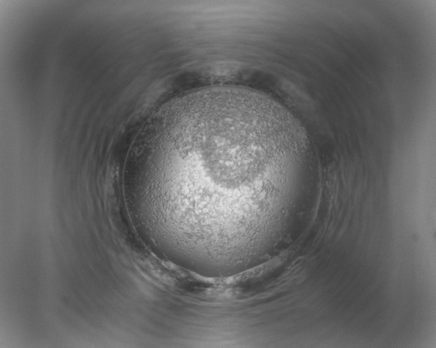 X0000077990225200611101736