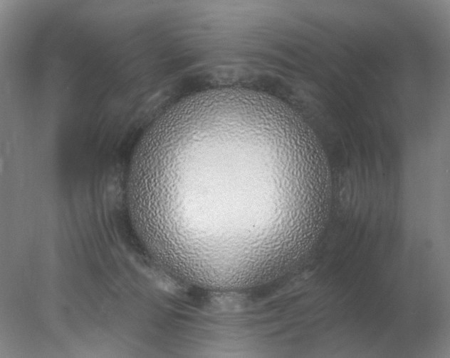 X0000077990226200611101736