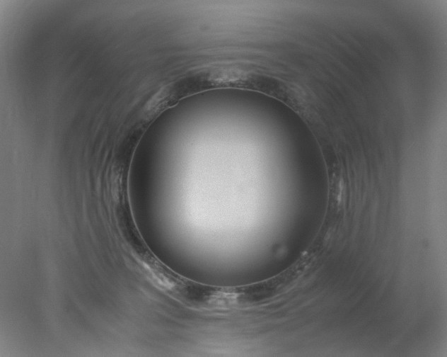 X0000077990227200611101736