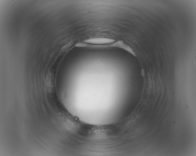 X0000077990228200611101736