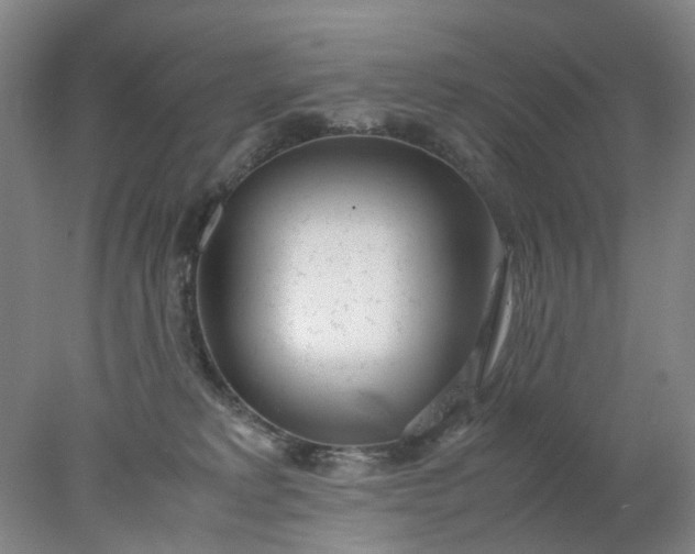 X0000077990229200611101736